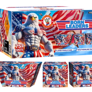 P5599 WINDA FIREWORKS BORN LEADERS 757 SHOT'S FINALE BOX